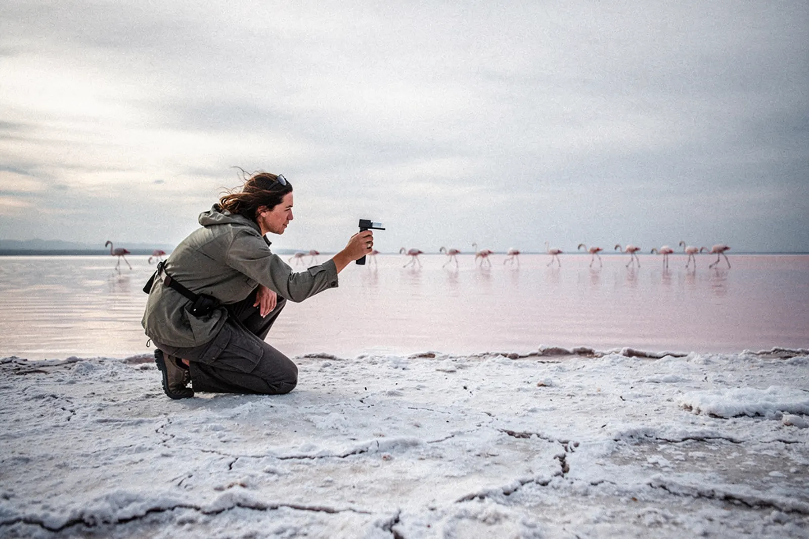 A field biologist measures water salinity near resting flamingos on the southern shore of Tuz Golu.