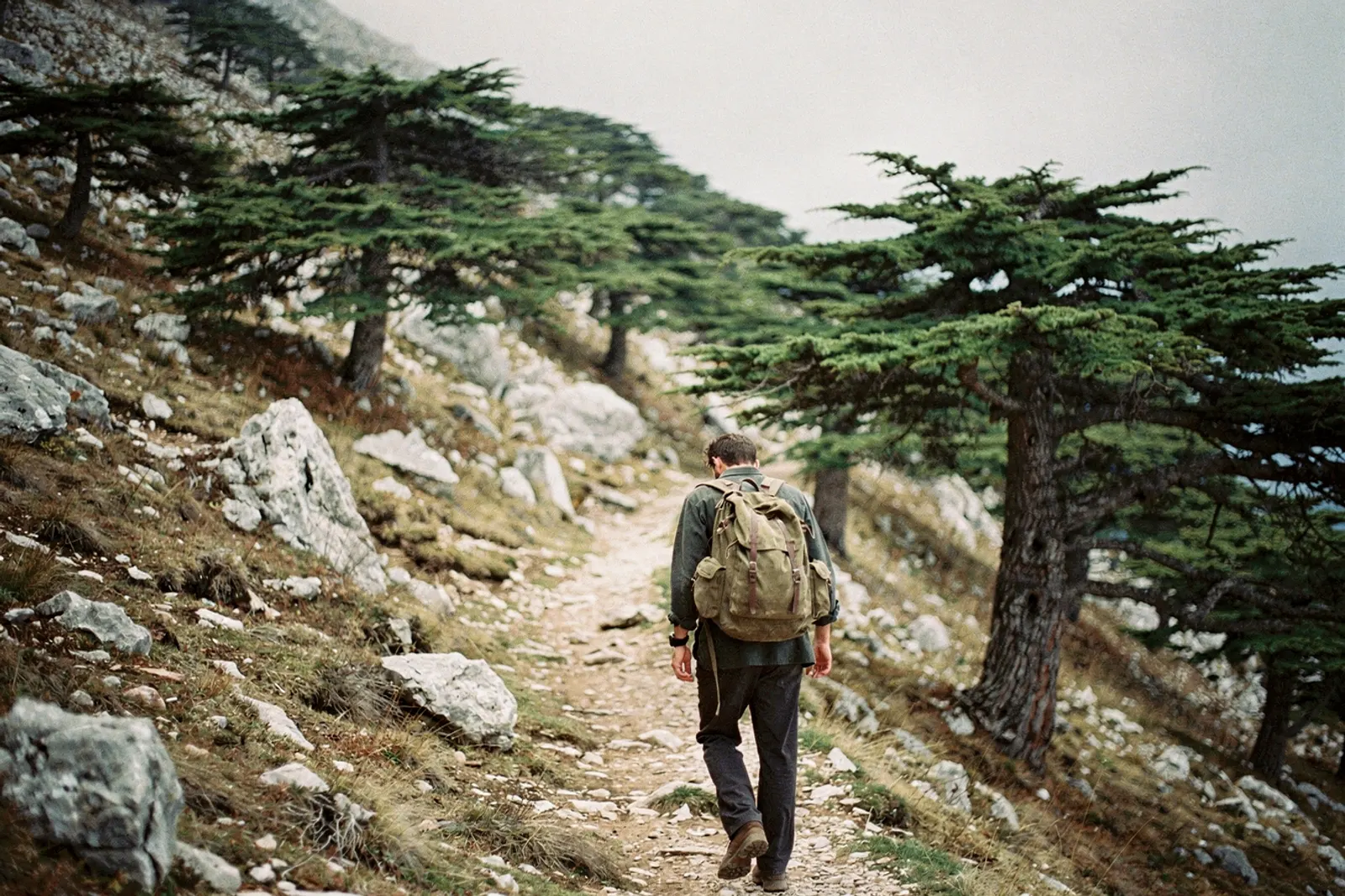 A lone hiker with a walking pole traverses a rocky path through scattered cedar trees on the Teke plateau.